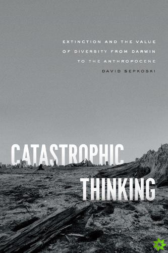 Catastrophic Thinking