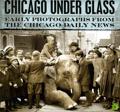 Chicago under Glass