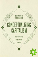 Conceptualizing Capitalism  Institutions, Evolution, Future
