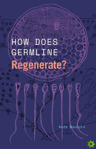 How Does Germline Regenerate?