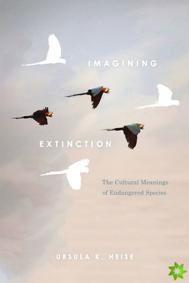 Imagining Extinction