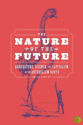 Nature of the Future