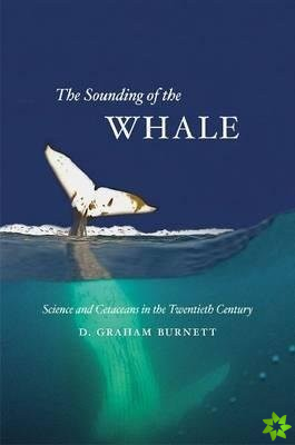 Sounding of the Whale