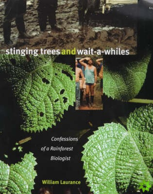 Stinging Trees and Wait-a-Whiles