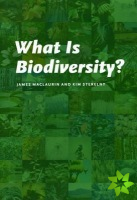 What Is Biodiversity?