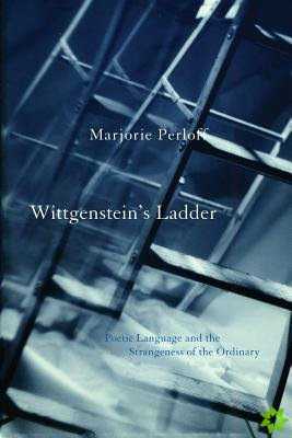 Wittgenstein's Ladder
