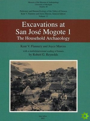 Excavation at San Jose Mogote 1