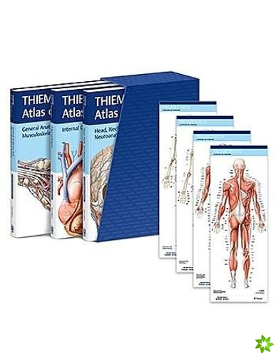 THIEME Atlas of Anatomy, Latin Nomenclature, Three Volume Set, Third Edition