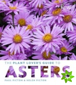 Plant Lover's Guide to Asters