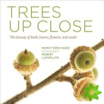 Trees Up Close: The Beauty of Bark, Leaves, Flowers, and Seeds