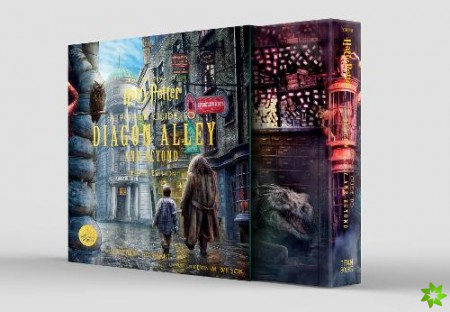 Harry Potter: A Pop-up Guide to Diagon Alley and Beyond (slipcase edition)