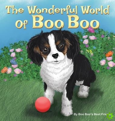 Wonderful World Of Boo Boo