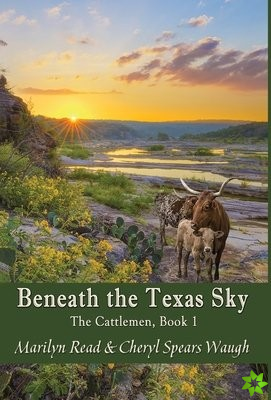 Beneath the Texas Sky