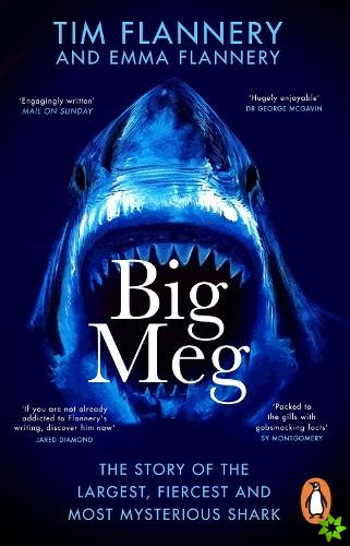 Big Meg