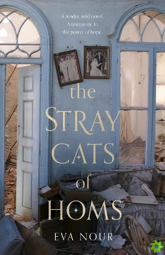Stray Cats of Homs