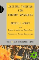 Systems Thinking for Curious Managers