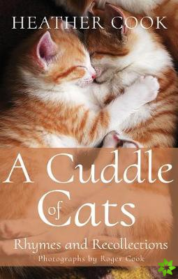 Cuddle of Cats