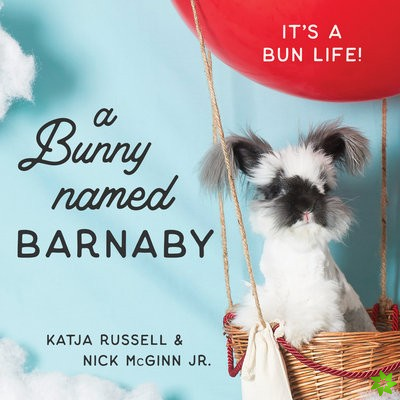 Bunny Named Barnaby