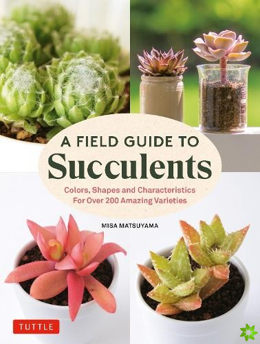Field Guide to Succulents