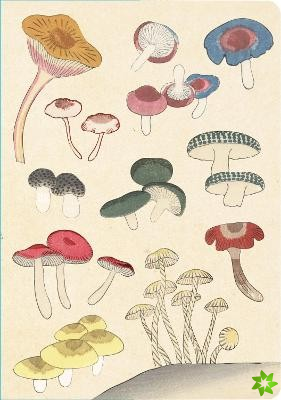 Healing Mushrooms Lined Paperback Journal