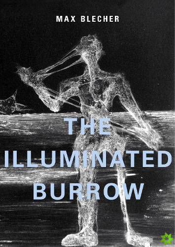 Illuminated Burrow