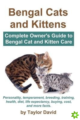 Bengal Cats and Kittens