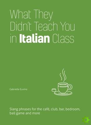 What They Didn't Teach You In Italian Class