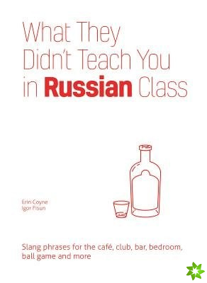 What They Didn't Teach You In Russian Class