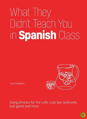What They Didn't Teach You In Spanish Class