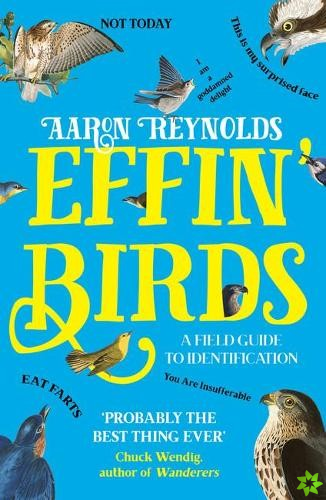 Effin' Birds