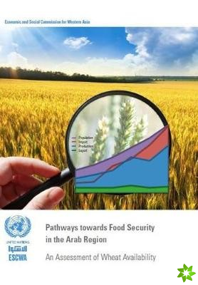 Pathways towards food security in the Arab region