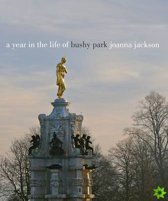 Year in the Life of Bushy Park