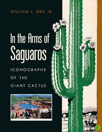 In the Arms of Saguaros