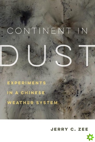 Continent in Dust