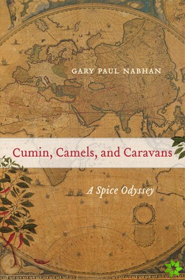 Cumin, Camels, and Caravans