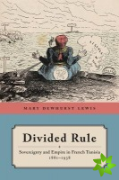 Divided Rule