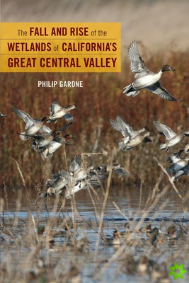 Fall and Rise of the Wetlands of California's Great Central Valley