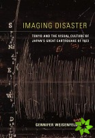 Imaging Disaster
