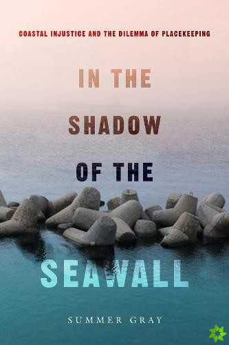 In the Shadow of the Seawall