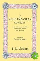 Mediterranean Society, Volume VI