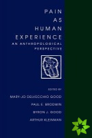 Pain as Human Experience