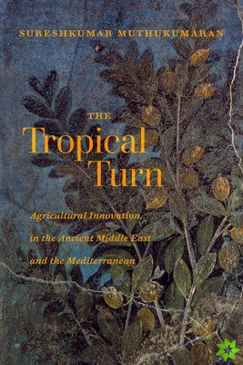 Tropical Turn