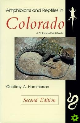 Amphibians and Reptiles in Colorado