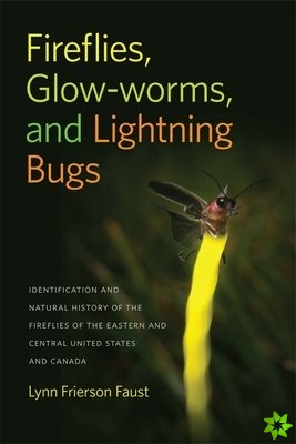 Fireflies, Glow-Worms, and Lightning Bugs