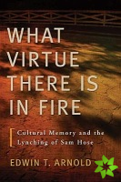What Virtue There Is In Fire