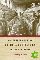 Whiteness of Child Labor Reform in the New South