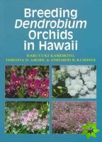 Breeding Dendrobium Orchids in Hawaii