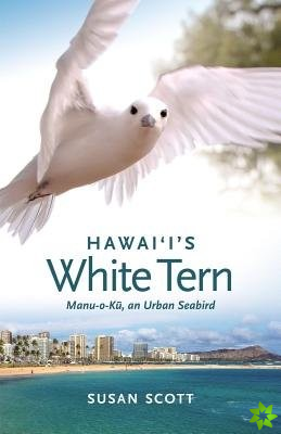 Hawaiis White Tern
