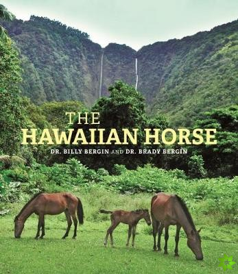 Hawaiian Horse