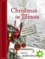 Christmas in Illinois